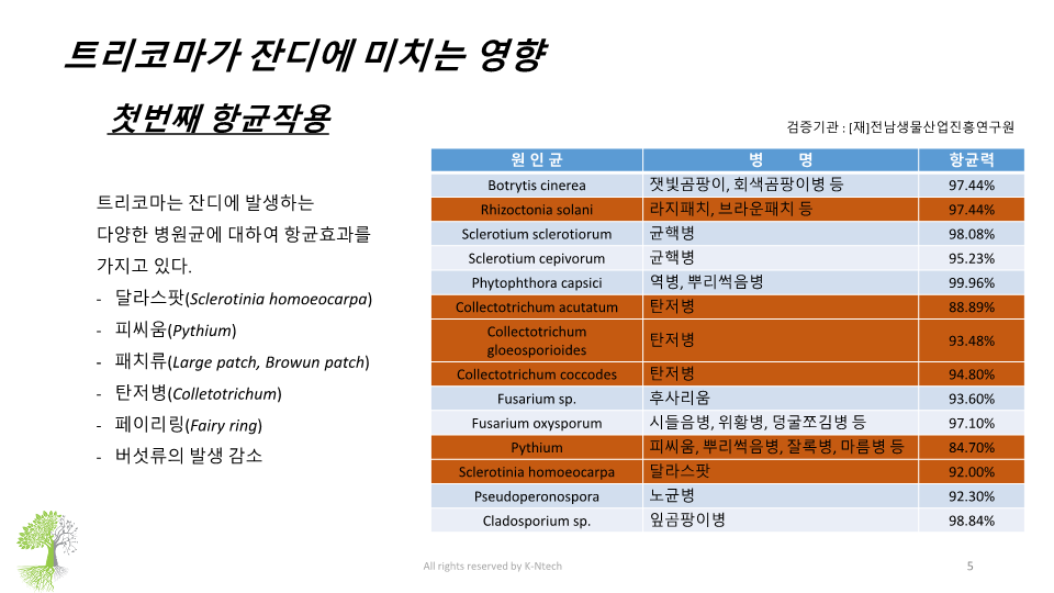 14종 병원균 항균력 표