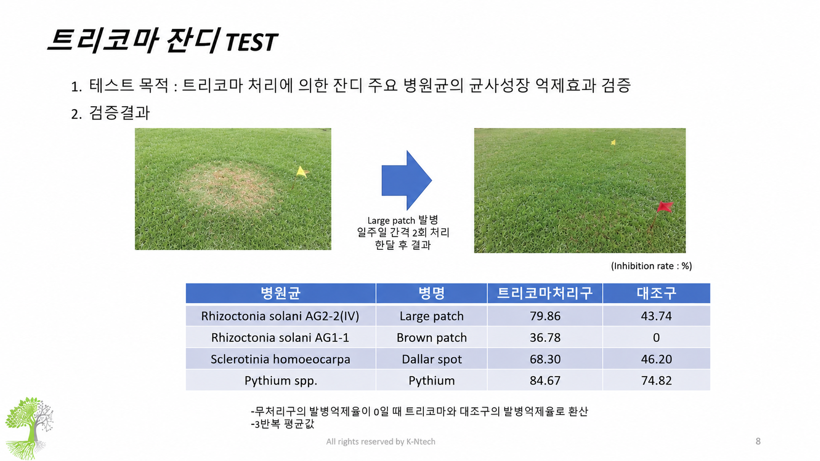 트리코마 잔디 TEST 발병 전·후 비교 + 데이터 표