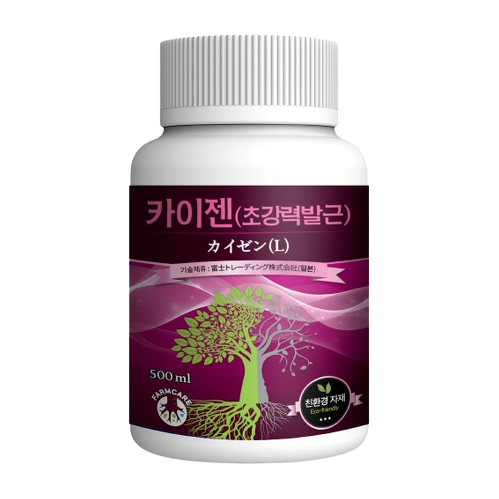 카이젠