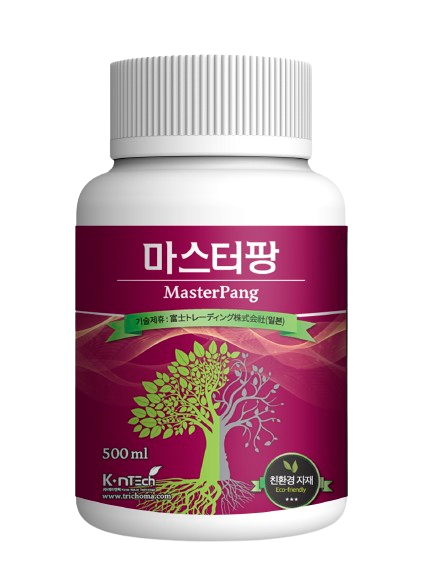 마스터팡