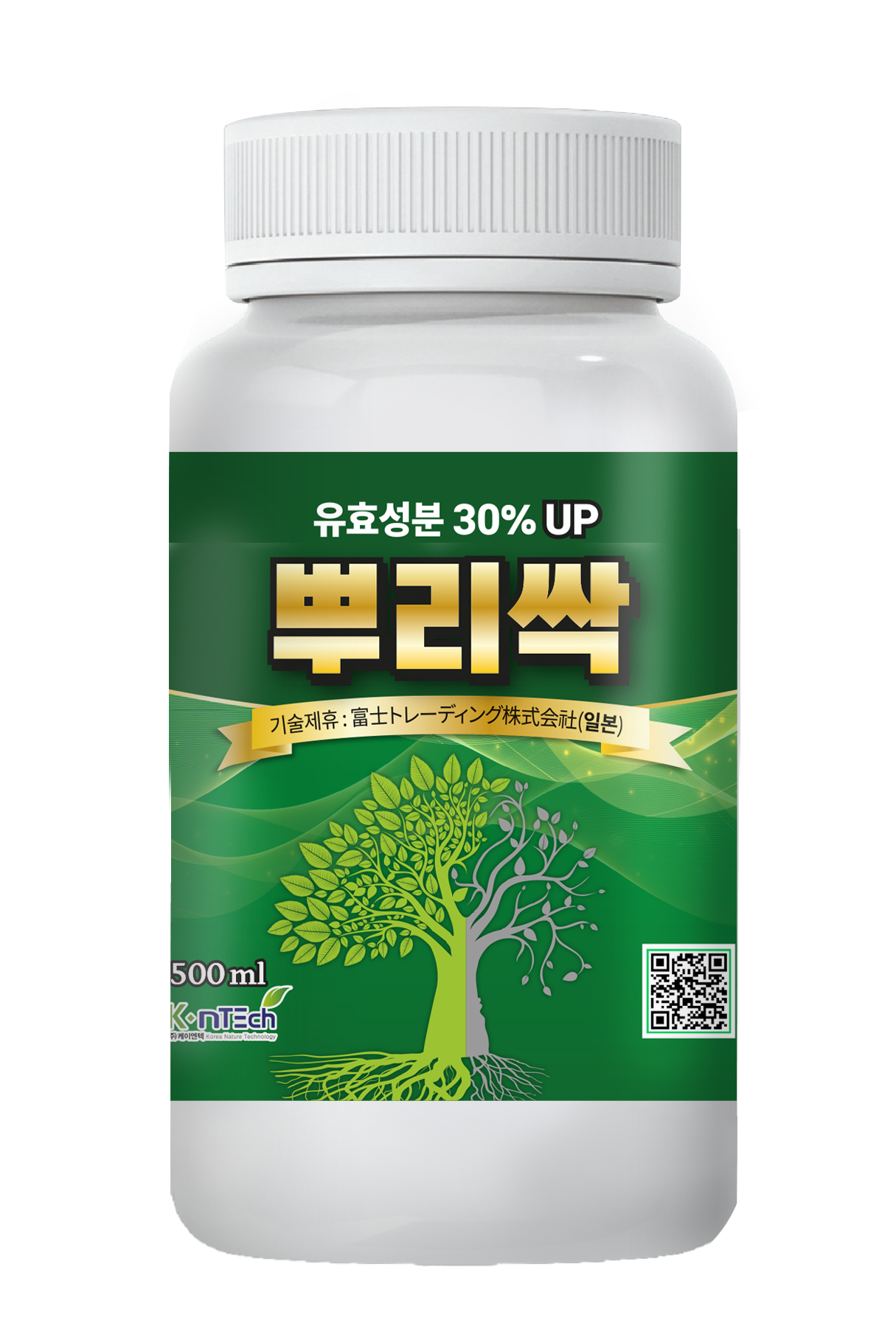 뿌리싹